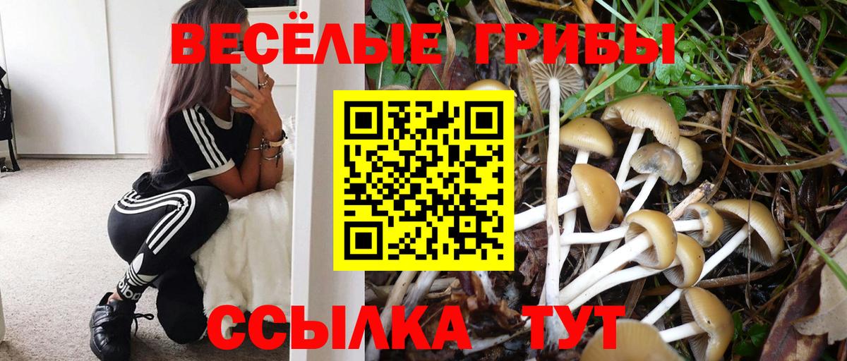 Галлюциногенные грибы MAGIC MUSHROOMS Советская Гавань